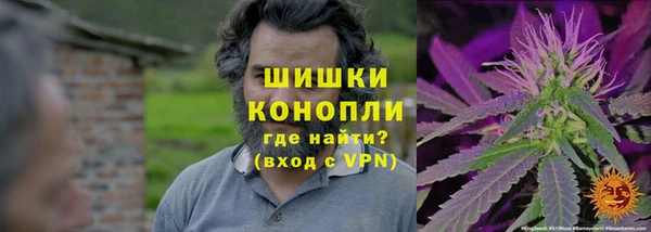 Альфа ПВП Новозыбков