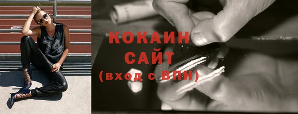 ешки Новодвинск