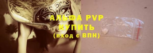 ешки Новодвинск