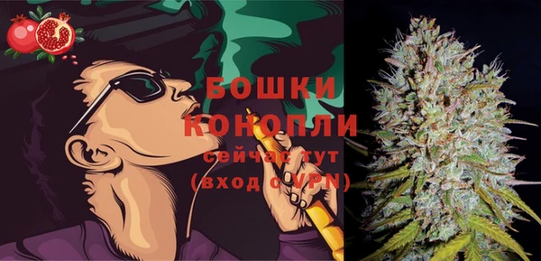 ПСИЛОЦИБИНОВЫЕ ГРИБЫ Заводоуковск