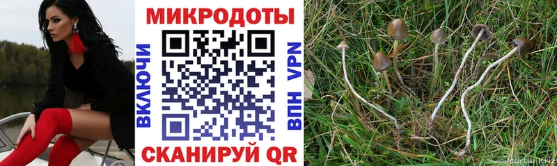 купить  сайты  Уварово  Галлюциногенные грибы мухоморы 